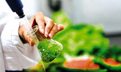 食品安全檢測儀讓我們的果蔬更加安全